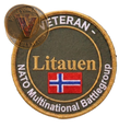 Badged - Stolt NATO MNBG Veteran - T-shirt